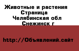  Животные и растения - Страница 5 . Челябинская обл.,Снежинск г.